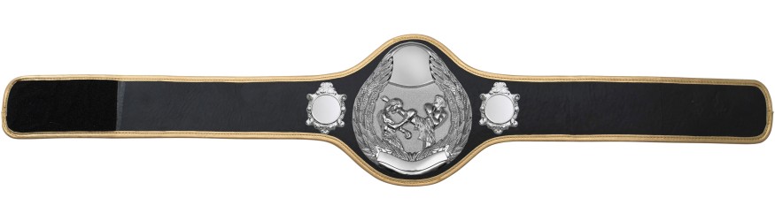 THAI BOXING CHAMPIONSHIP BELT-PRO301/S/TBOS- 10 + COLOURS THAI BOXING CHAMPIONSHIP BELT-PRO301/S/TBOS- 10 + COLOURS